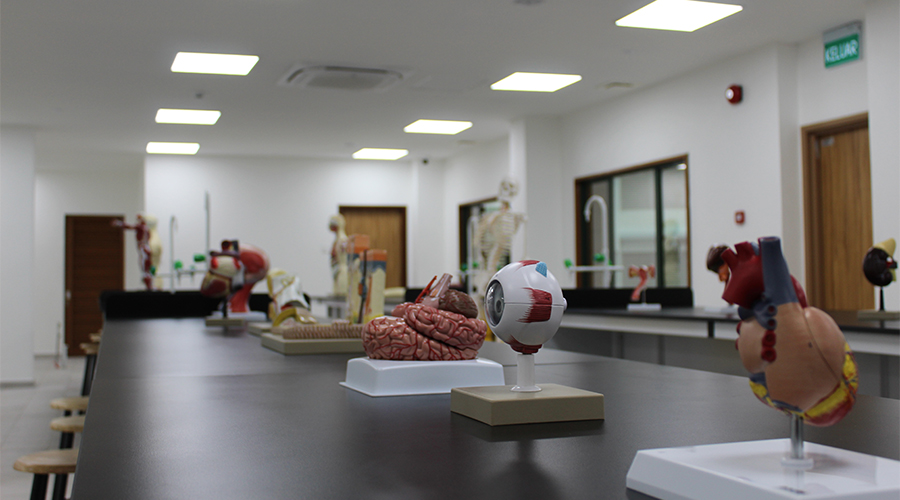Nursing College Brunei | A classroom or laboratory in JPMC College of Health Sciences, equipped with benches and anatomical models to help nursing students learn about the human body's structure and function.